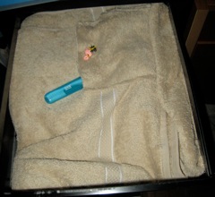 Pastel GH Towel with Travel Toothbrush - 2